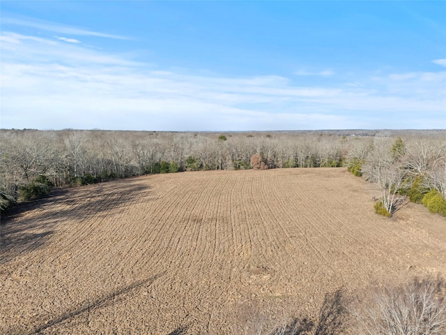 view of local wilderness featuring a rural view