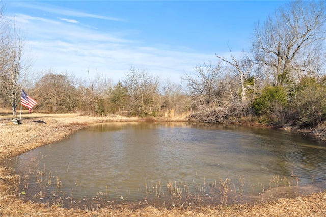 view of water feature