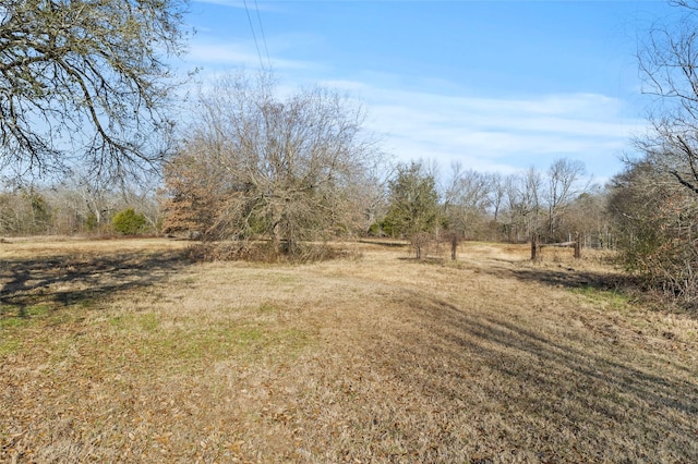 view of yard featuring a rural view