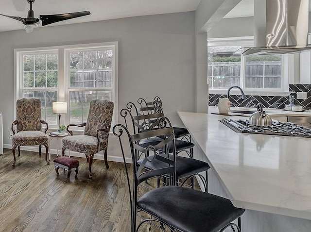 dining area with ceiling fan, wood-type flooring, and a healthy amount of sunlight