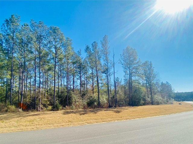 15396 Forest Grove Dr, Willis, TX 77378