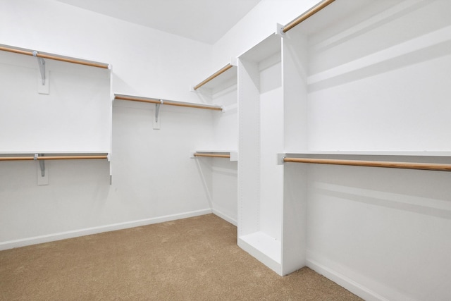 spacious closet featuring light colored carpet