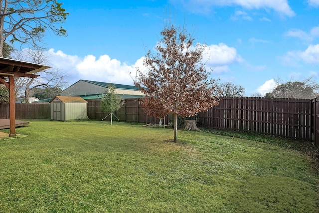 view of yard featuring a storage shed