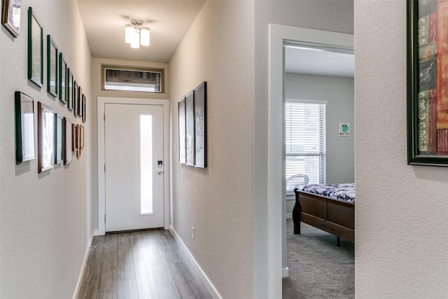 foyer featuring hardwood / wood-style floors