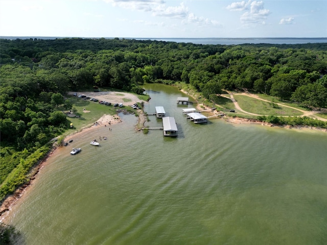 birds eye view of property with a view of trees and a water view