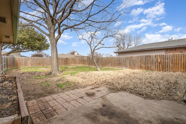 view of yard featuring a patio