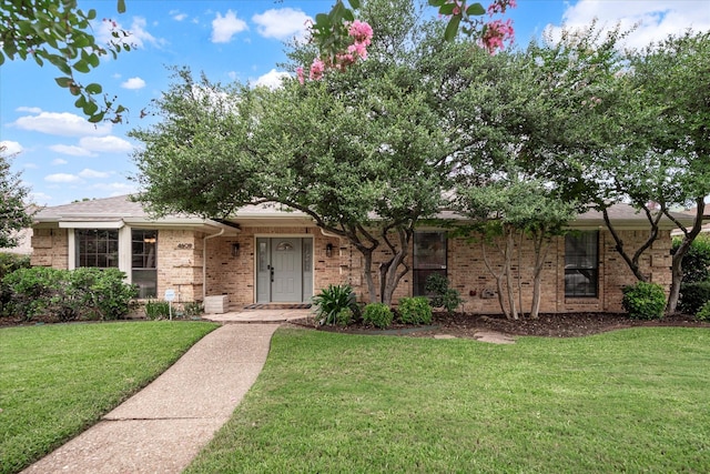 view of front of property featuring a front yard