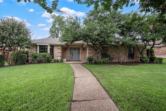 ranch-style house with a front lawn