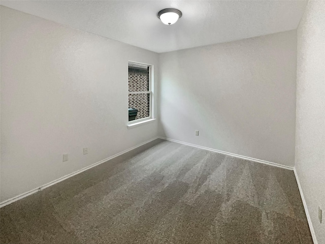 spare room with carpet