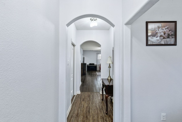 hallway with dark wood-type flooring