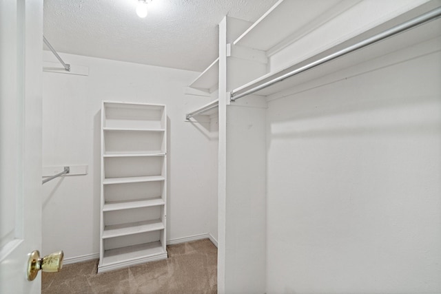 walk in closet with carpet