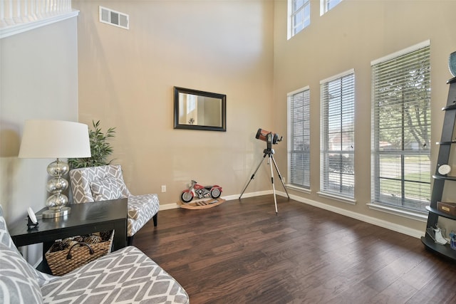 sitting room featuring a high ceiling, plenty of natural light, and dark hardwood / wood-style flooring