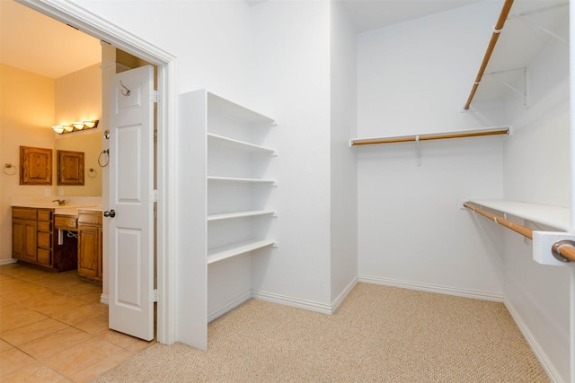 spacious closet featuring light colored carpet