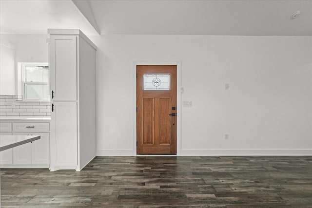 entryway with dark hardwood / wood-style flooring