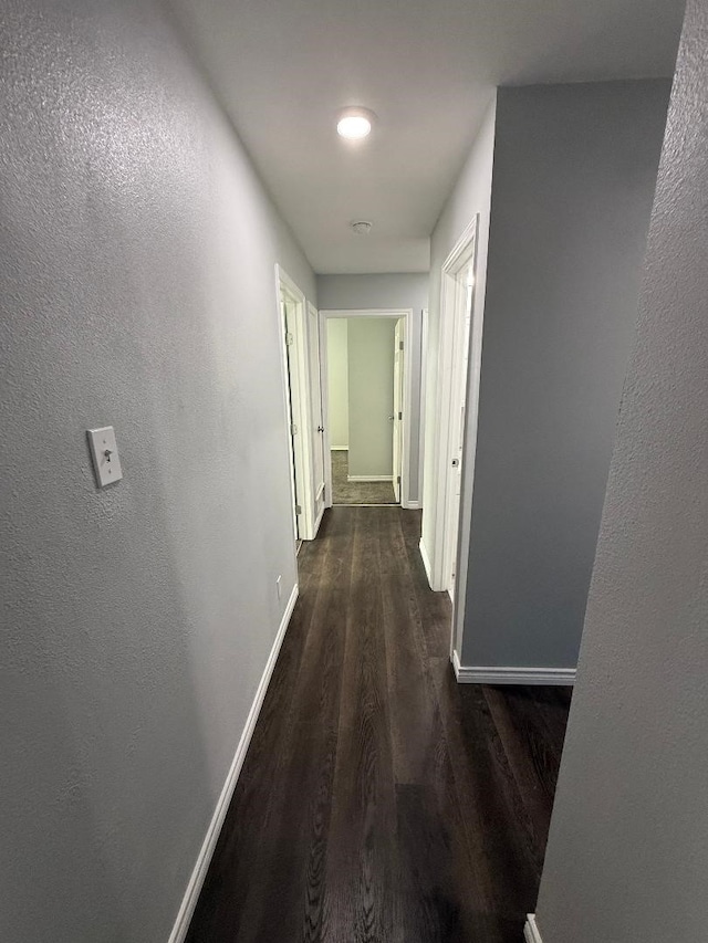 corridor with dark hardwood / wood-style flooring