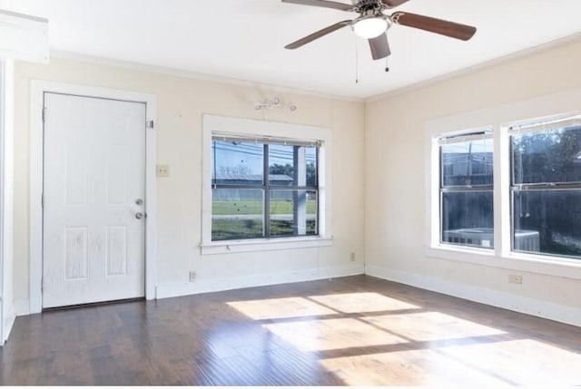 entrance foyer featuring crown molding, ceiling fan, and hardwood / wood-style floors