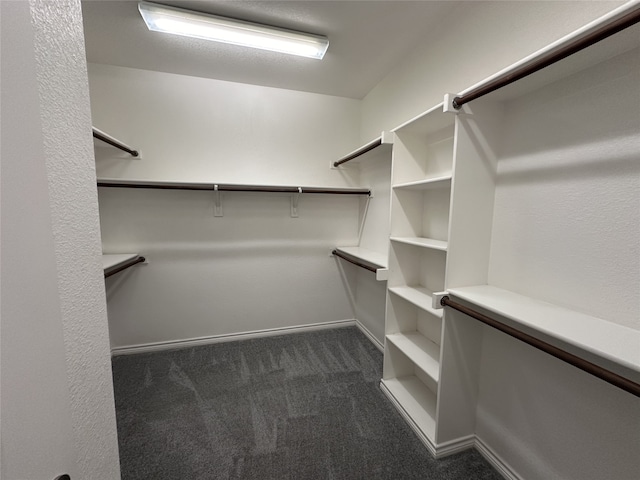 spacious closet featuring dark colored carpet