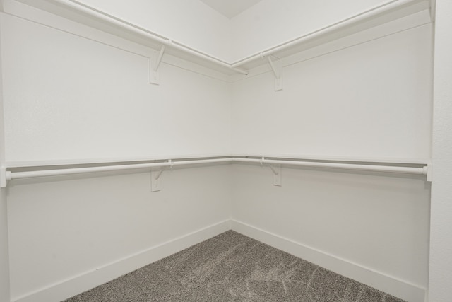 walk in closet featuring carpet flooring