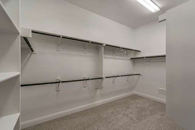 spacious closet featuring carpet flooring