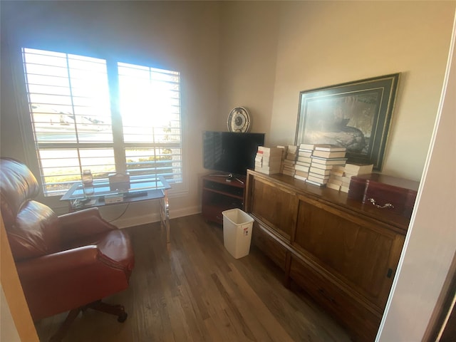 sitting room with dark hardwood / wood-style floors