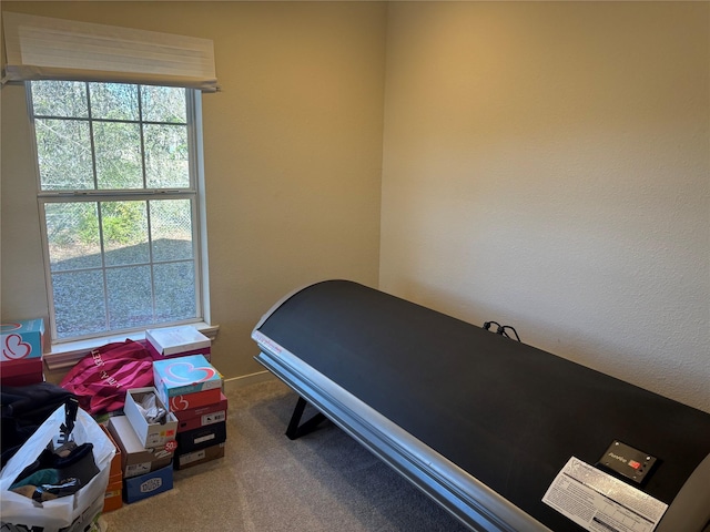 bedroom featuring carpet flooring