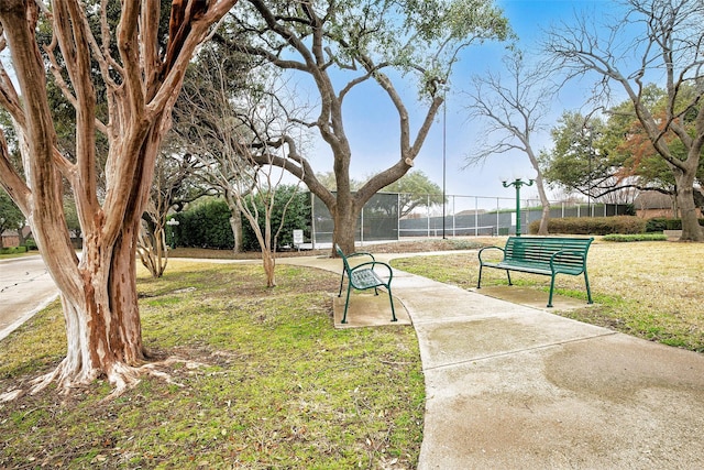 view of home's community with a yard