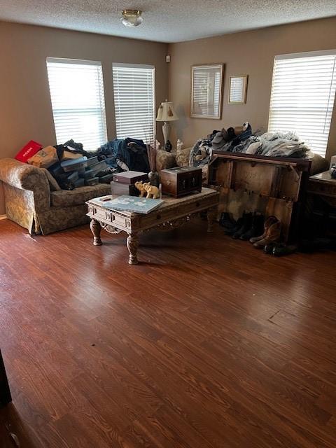 living room featuring dark hardwood / wood-style floors and a textured ceiling