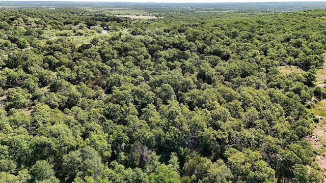 6840ID Mountain Top Estate Rd, Graham, TX 76450