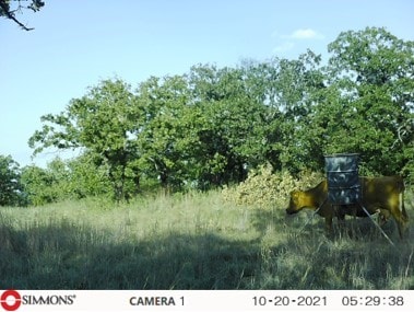 6840ID Mountain Top Estate Rd, Graham, TX 76450