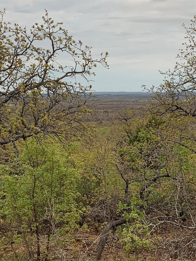 6840ID Mountain Top Estate Rd, Graham, TX 76450