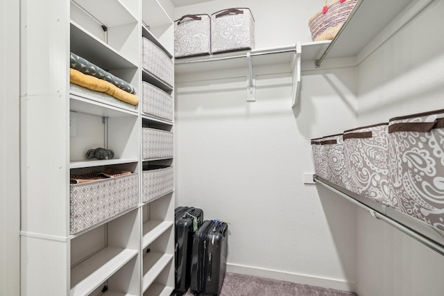 spacious closet with carpet floors