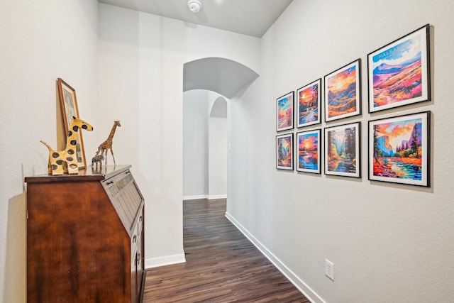 corridor with dark hardwood / wood-style flooring