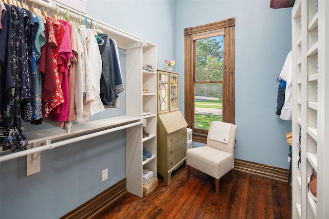 spacious closet featuring dark hardwood / wood-style floors