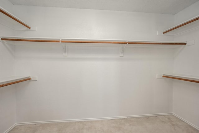 spacious closet featuring light carpet