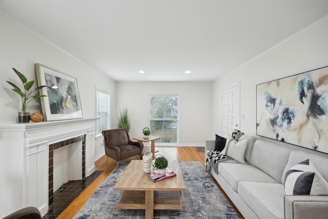 living room featuring crown molding, a fireplace, and dark hardwood / wood-style floors