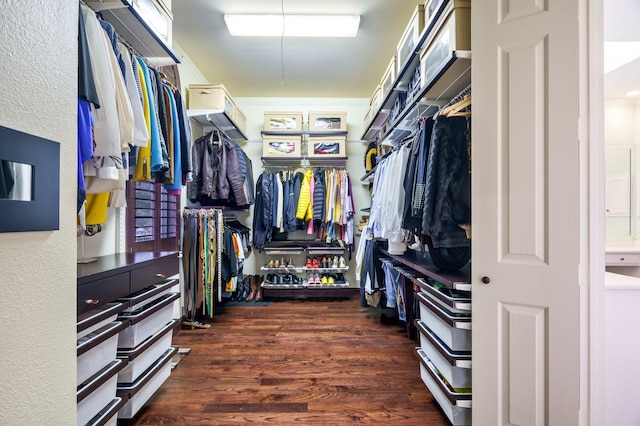 404 Twin Creeks Dr, Allen, TX 75013 - walk in closet featuring wood finished floors