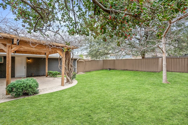 view of yard with a patio area and a fenced backyard