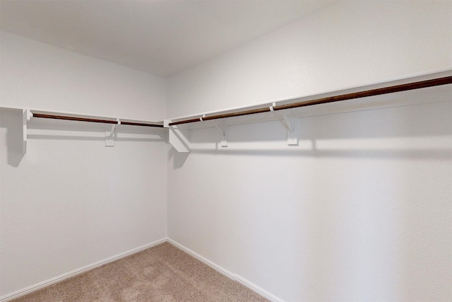 spacious closet with carpet flooring