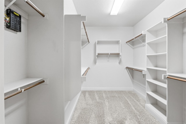 spacious closet with light colored carpet