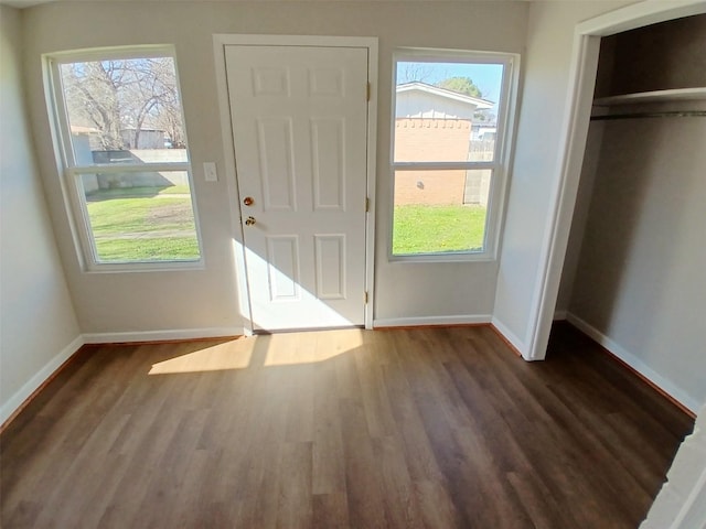 doorway featuring a healthy amount of sunlight and dark hardwood / wood-style flooring