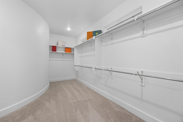 spacious closet featuring carpet flooring