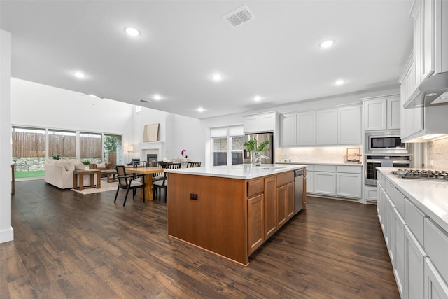 kitchen featuring white cabinetry, stainless steel appliances, sink, and a center island with sink