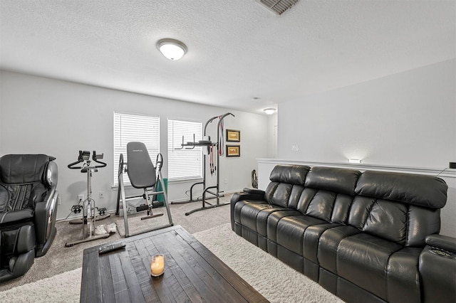 carpeted living room with a textured ceiling