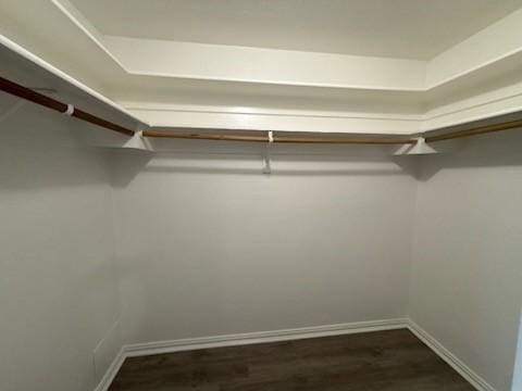 spacious closet with dark wood-type flooring