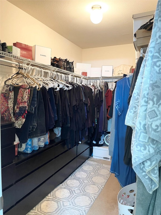 spacious closet featuring light carpet