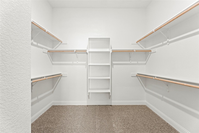 spacious closet featuring carpet flooring