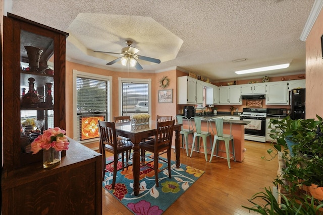 dining area featuring sink, ornamental molding, ceiling fan, a textured ceiling, and light hardwood / wood-style flooring