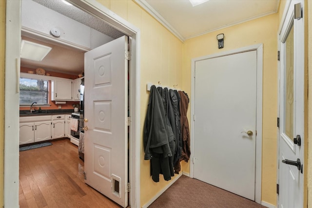 hallway with ornamental molding, wood-type flooring, and sink