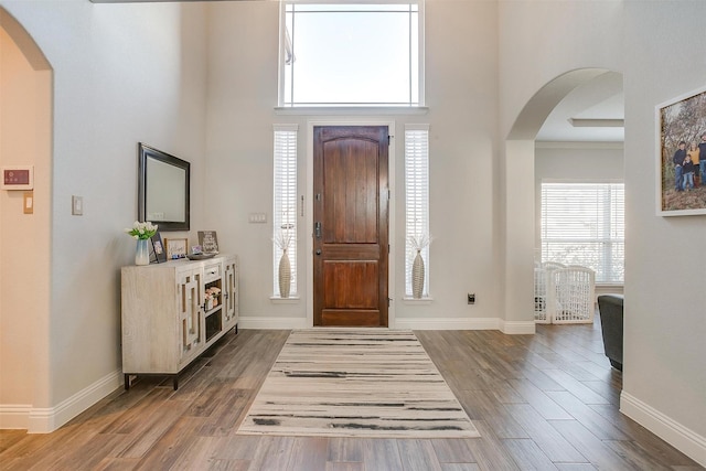 entrance foyer featuring wood-type flooring and a high ceiling