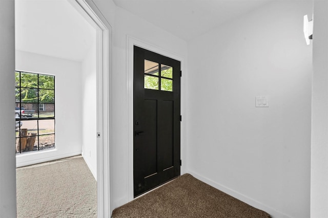 carpeted entrance foyer with a wealth of natural light